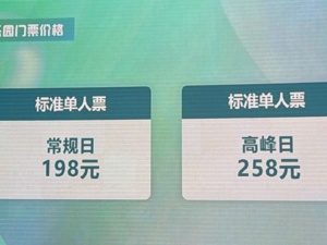 把“李相夷”的红绸剑舞搬进实景，爱奇艺九年磨一剑：技术红利能否助其弯道超车？