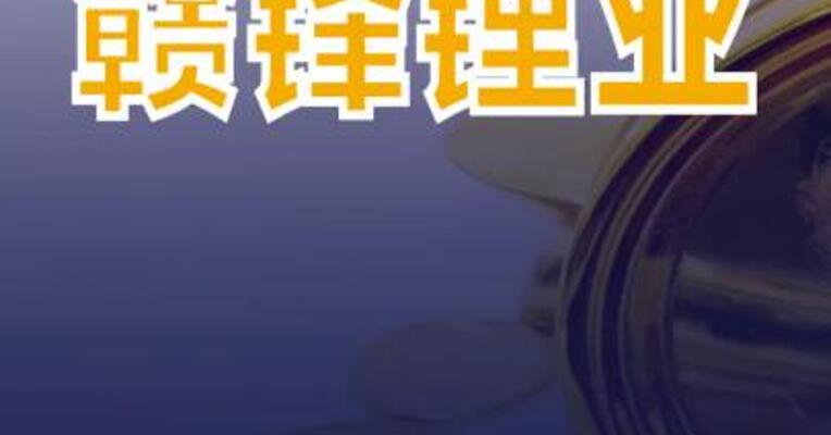 赣锋锂业在上海成立全球能源科技公司