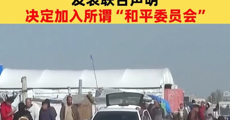 约旦、阿联酋等国发表联合声明 决定加入所谓“和平委员会”