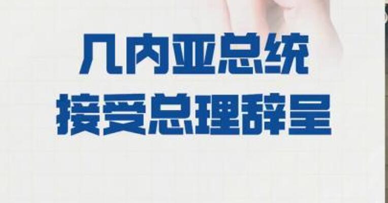 几内亚总统 接受总理辞呈