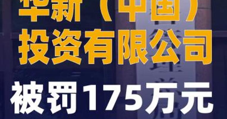 华新（中国）投资有限公司 被罚175万元