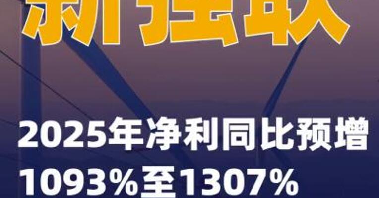 新强联：2025年净利同比预增1093%至1307%