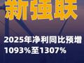 新強(qiáng)聯(lián)：2025年凈利同比預(yù)增1093%至1307%