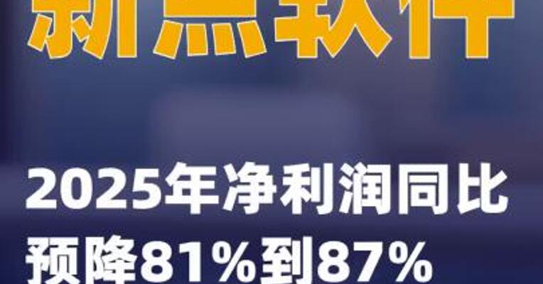 新点软件：2025年净利润同比预降81%到87%