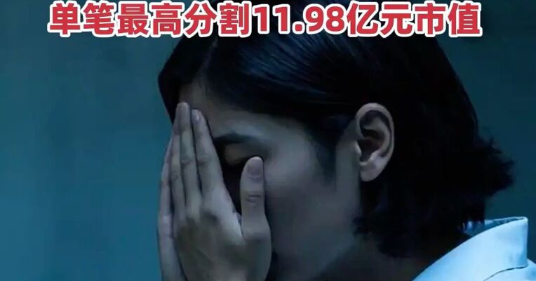 2025年A股12家公司实控人离婚分割股权，近60亿元财富被分割！单笔最高分割11.98亿元市值