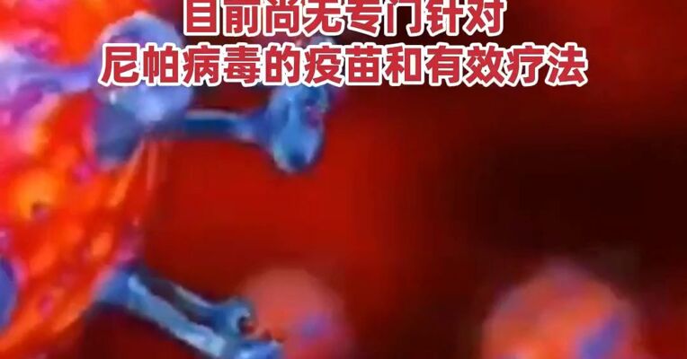 印度出现尼帕病毒疫情 目前已有5例确诊病例 ，感染者的死亡率可达40%以上  ，目前尚无专门针对尼帕病毒的疫苗和有效疗法