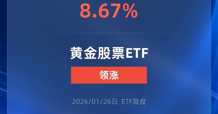 黄金股票ETF涨超8%