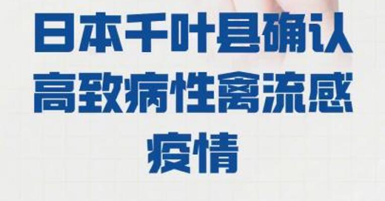 日本千叶县确认 高致病性禽流感疫情