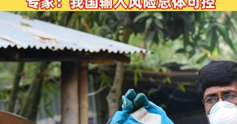 致死率最高达75%！印度现尼帕病毒疫情，多家上市公司称已有国产检测试剂，专家：我国输入风险总体可控