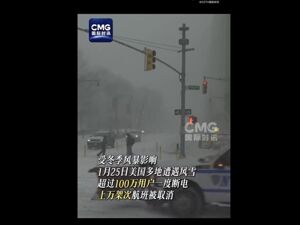 美国芝加哥出现负电价，发生了什么？