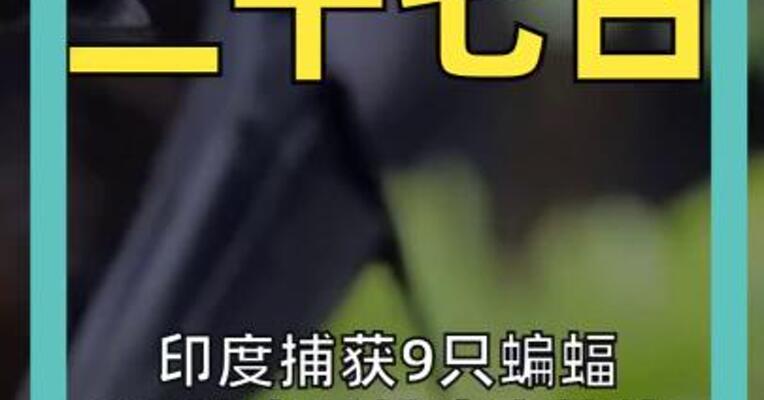 印度捕获9只蝙蝠 1只检出尼帕病毒抗体 当地庆典照常举行
