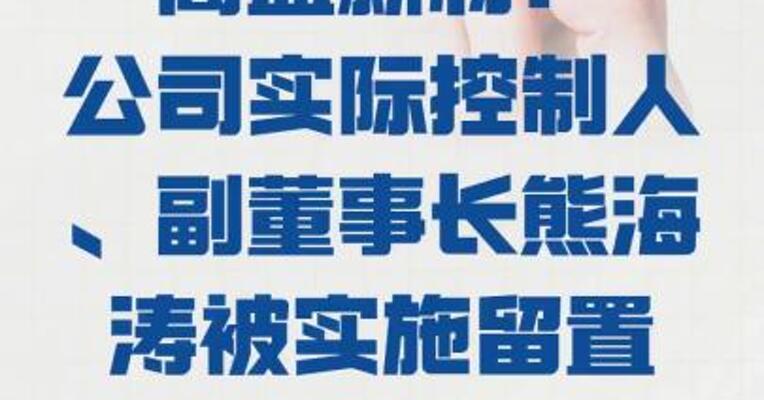 高盟新材： 公司实际控制人、副董事长 熊海涛被实施留置