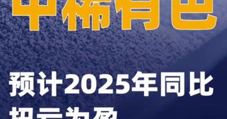 中稀有色：预计2025年同比扭亏为盈
