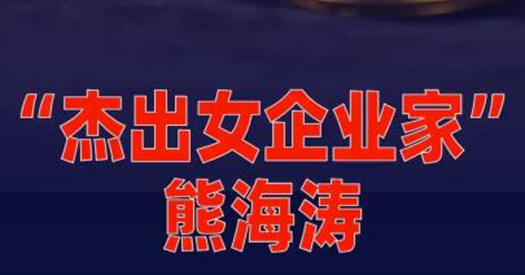 “杰出女企业家”熊海涛被留置调查
