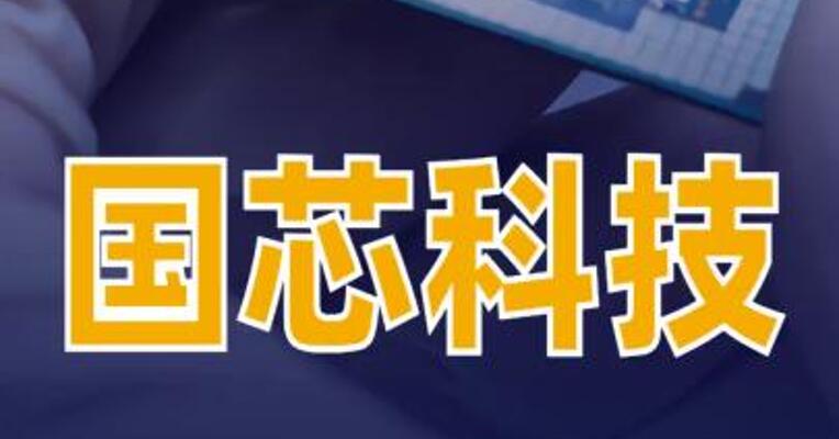 国芯科技RAID系列产品实现多领域量产出货