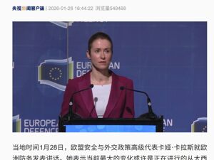 欧盟外长：欧洲不再是华盛顿主要重心，北约必须更欧洲化！法国：“戴高乐”号航母前往北大西洋，将参加地区演习