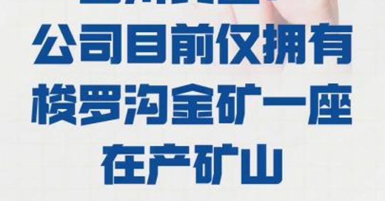 四川黄金：公司目前仅拥有 梭罗沟金矿一座在产矿山