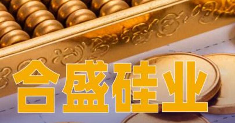 合盛硅业：拟投资110亿元于“合盛新能源高端制造产业园项目”
