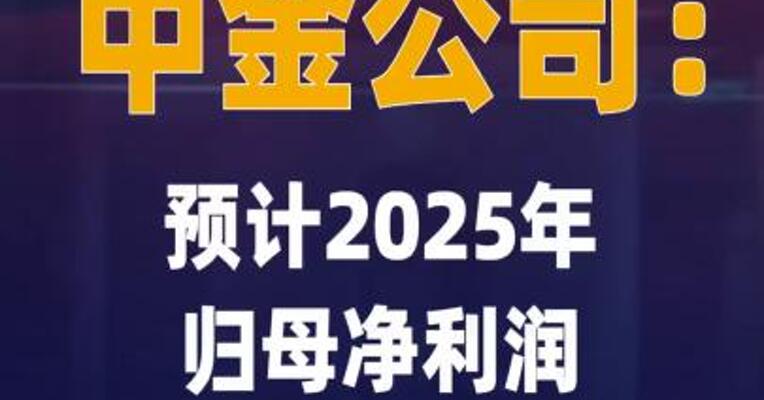 中金公司：预计2025年归母净利润 同比增加50%到85%