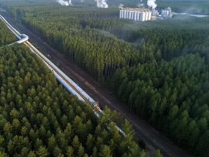A股绿色周报｜10家上市公司暴露环境风险 正邦科技控股公司擅自改变林地用途被罚63万元