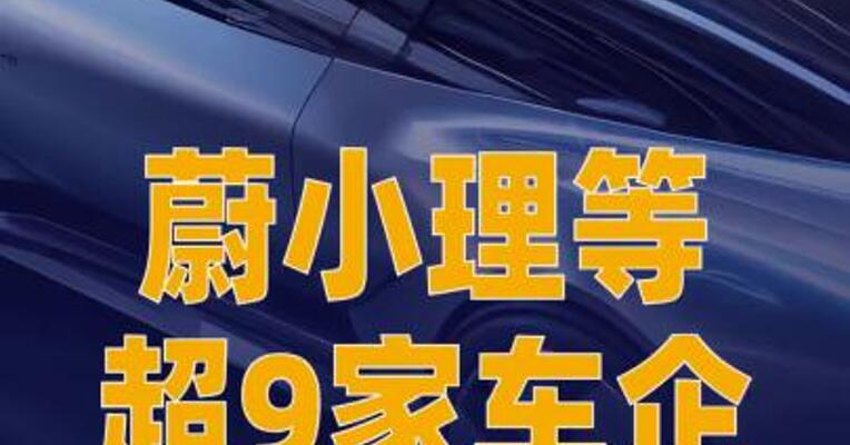 蔚小理等超9家车企推 “7年低息”