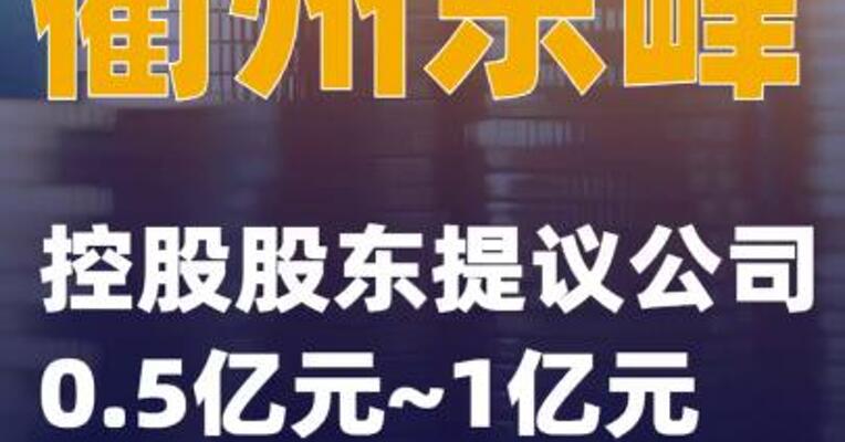 衢州东峰：控股股东提议公司0.5亿元~1亿元回购股份