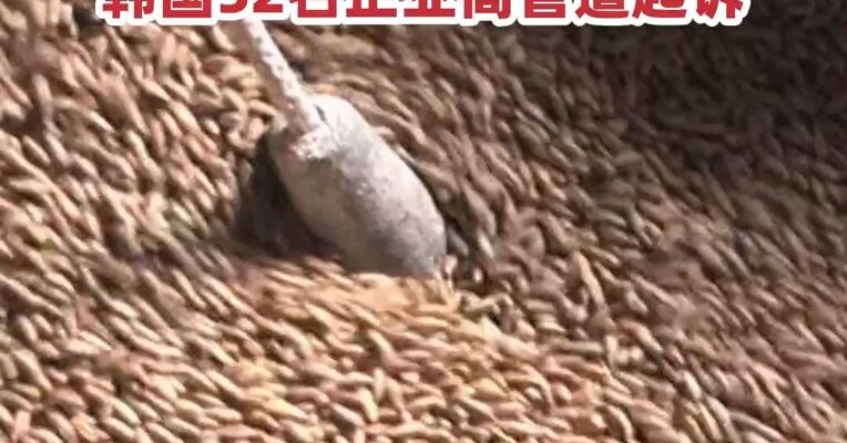 涉嫌操纵民生商品价格，涉案金额近10万亿韩元，韩国52名企业高管遭起诉