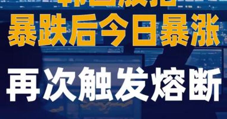 韩国股指暴跌后今日暴涨 再次触发熔断机制