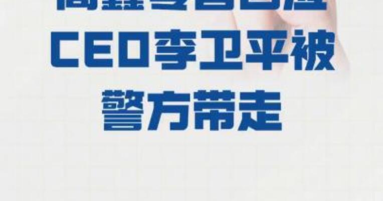 高鑫零售回应CEO 李卫平被警方带走