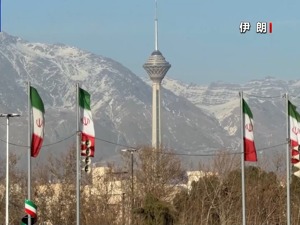伊朗最高领袖顾问：无意将浓缩铀转移至国外，伊核计划是和平的！专家分析：美伊仍有冲突风险