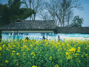 中央一号文件发布！首提“常态化精准帮扶”，人工智能、机器人、乡村消费都提了