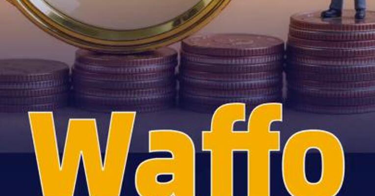 Waffo完成超1500万美元 A轮融资
