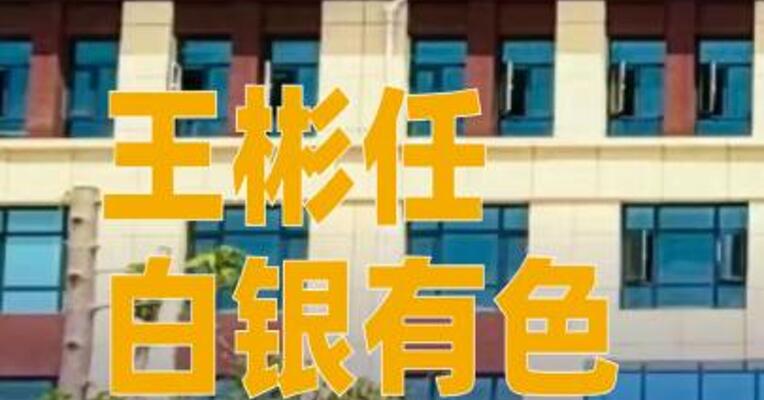 王彬任白银有色董事长