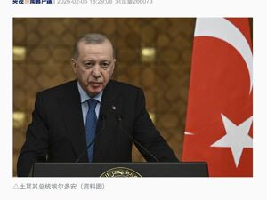 埃尔多安：土方坚决反对任何针对伊朗的军事行动！美媒：中东九国紧急游说，美伊核谈判重回日程