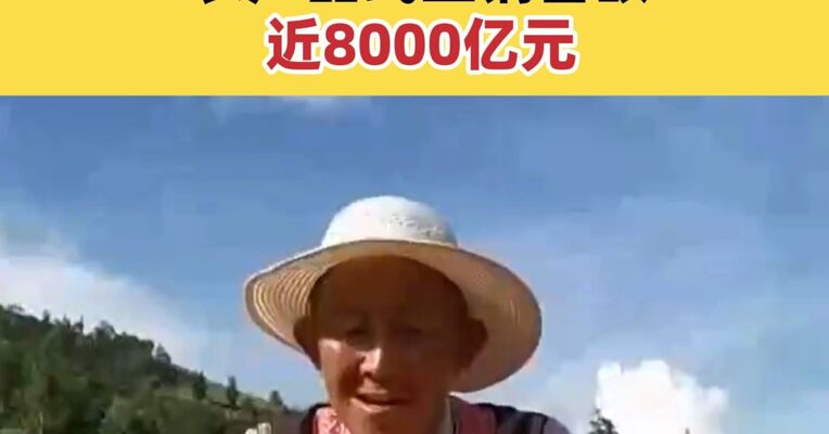 商务部：农村网络零售额首破3万亿元，农产品线上销售额近8000亿元