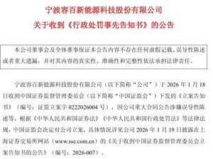 市值超200亿龙头及董事长等，拟被罚950万元！1200亿“天价”订单涉嫌误导性陈述