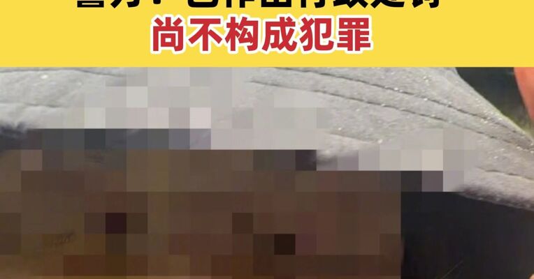 女星金晨交通肇事逃逸被罚1500元 警方：已作出行政处罚 尚不构成犯罪