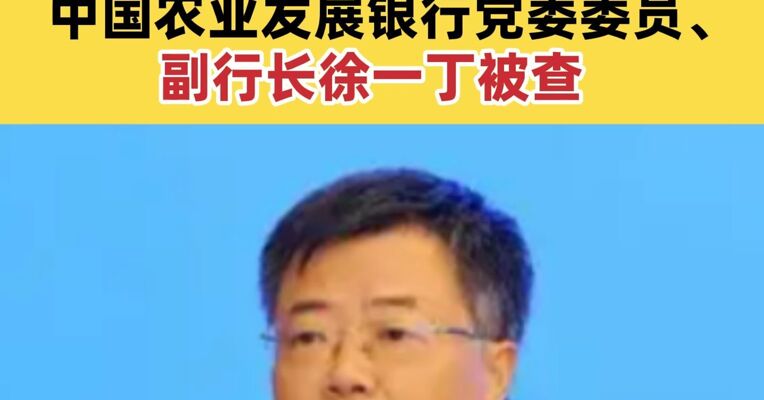 中国农业发展银行党委委员、副行长徐一丁被查