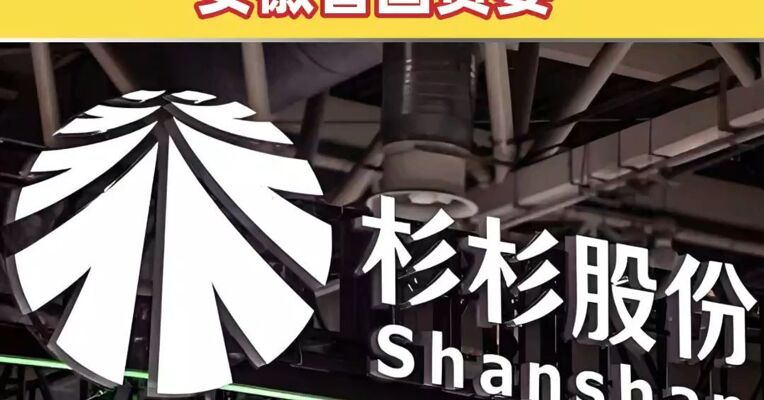 杉杉股份：若重整成功，公司实际控制人将变更为安徽省国资委