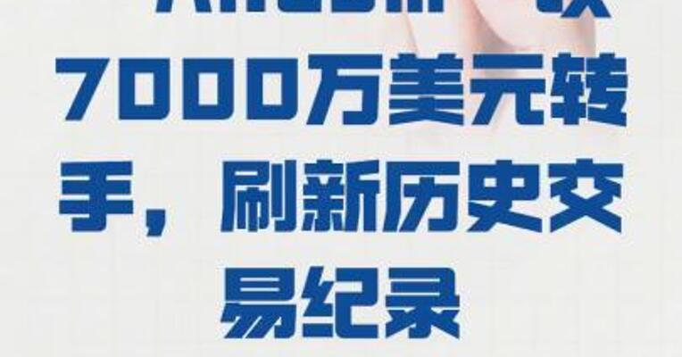 顶级域名“AI.com” 以7000万美元转手， 刷新历史交易纪录