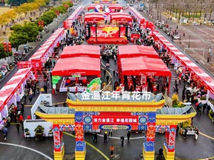 ​成都温江区年宵花市开市 打造年味消费新体验