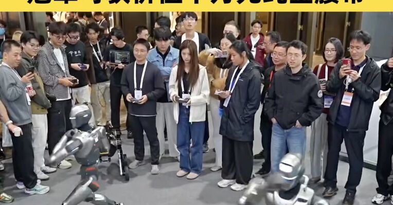 全球首个人形机器人自由格斗联赛要来了 冠军可获价值千万元纯金腰带