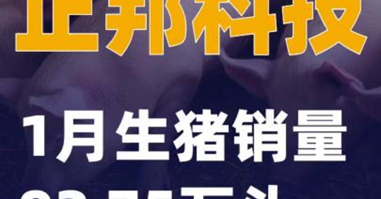 正邦科技：1月生猪销量92.75万头