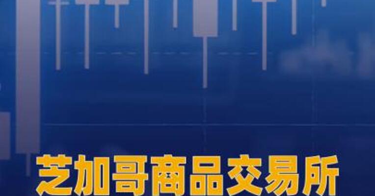 芝加哥商品交易所集团将推出 个股期货