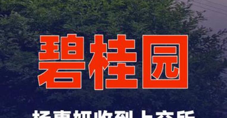 碧桂园：杨惠妍收到上交所纪律处分决定书