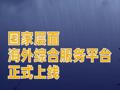 国家层面海外综合服务平台正式上线