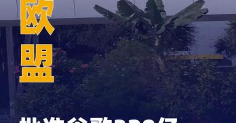 欧盟批准谷歌320亿美元 收购Wiz