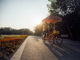 19481632.thumb_hs