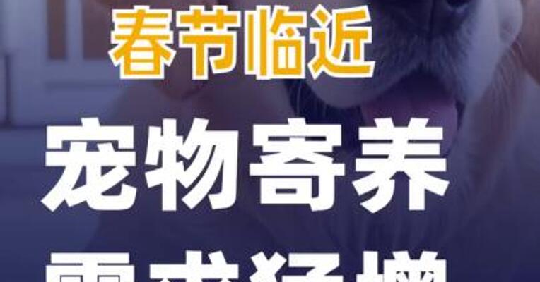 春节临近“宠物寄养”需求猛增
