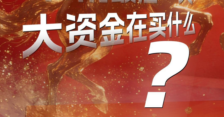 节前最后一天，大资金在买什么？